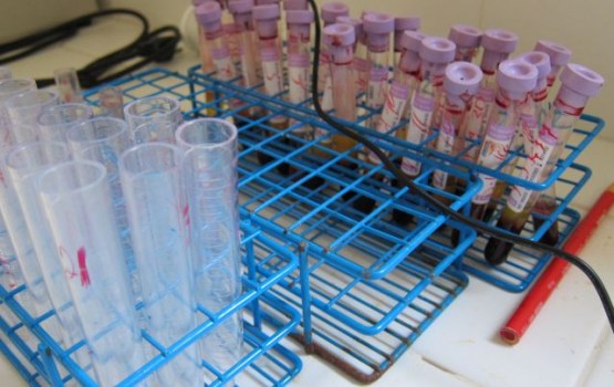 � ������ ���������� � ���� ������� ������, ������ �����