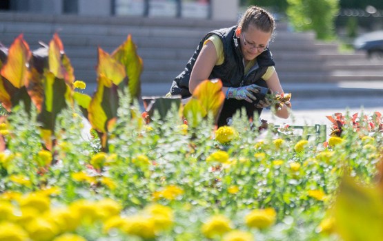 ����������� (15.06.2017-21.06.2017)