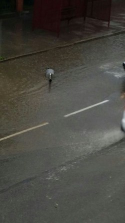 ��������: � ���� ������� ���������