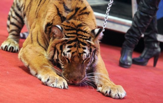 �����: ������ ����� ������ � ����� ����� ������