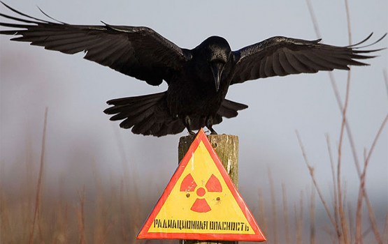 HBO ������ � ����� ������ � ���������: ��� ��� ��� ��������?