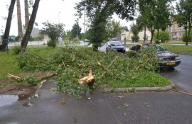 ��������: ���� ������� �������� ����� � ������ ����� (���������)