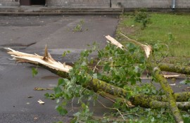 ��������: ���� ������� �������� ����� � ������ ����� (���������)