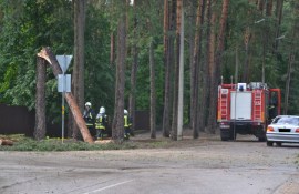 ��������: ���� ������� �������� ����� � ������ ����� (���������)