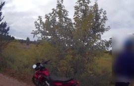 ��������� ������ ������� �� ������� ������