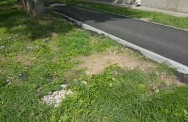 �� ������ ��������� �������� �������