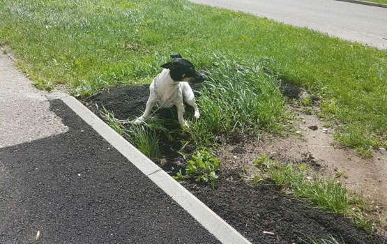 �� ������ ��������� �������� �������