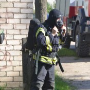 ������ ������ ������ �� �������