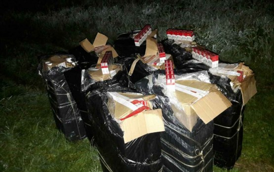 �� ������ ������� ������ ������� ���������� �����������