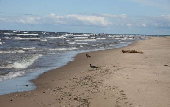 �������� � ������: �� ����� ������ ������� �������