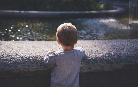 ����: ��������� �������� �������, ������������� ���������