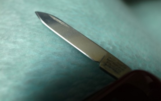 "��������� �����������" ����� ��������������� �� ����� � �������