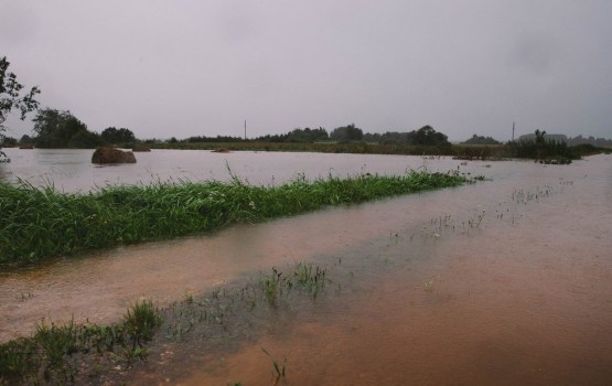 �����, ����������� ����������, ����� ����������� ���������� ����