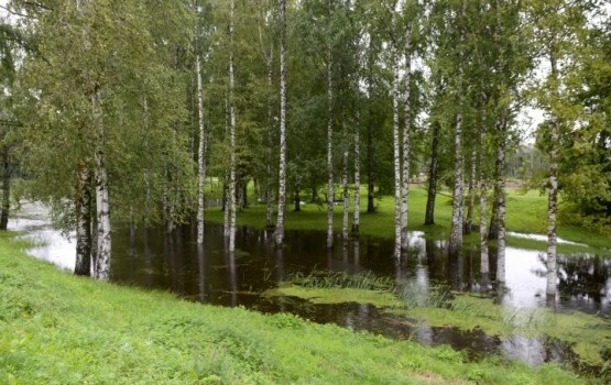 В реке Резекне уровень воды постепенно падает, в Дубне еще растет