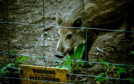 ������ ����������� �� ���������� ������ ������ �������