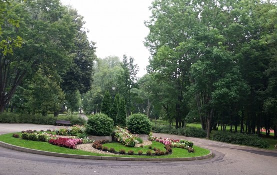 Лудзенское время: цветочные зайцы и подосиновики в центре города