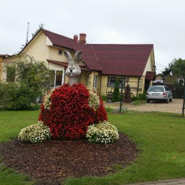 Лудзенское время: цветочные зайцы и подосиновики в центре города