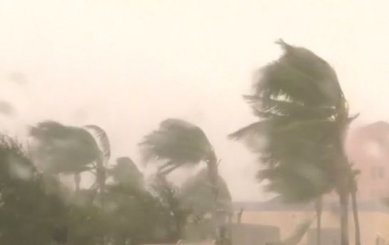 ������ "����" ��������� �� �������, ����� ��� �������������� �������