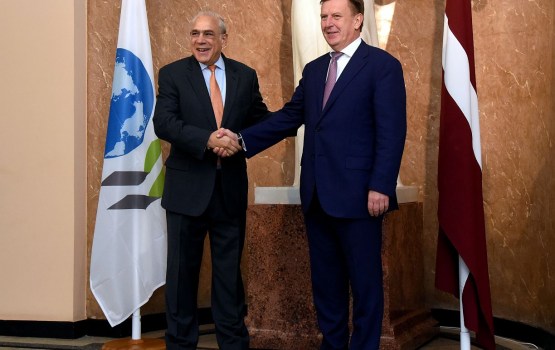 ����: ������ � ���� ���� ���� ���������� ������������ � ����