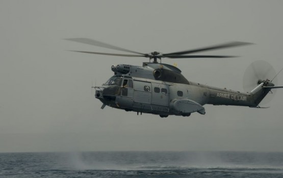 ���: �� ������� "�����-2017" �������� �� ������ ��������� � ��������, ���� �������