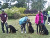 ��������� �� ������: ������ ������, ��� �� ����������, ���� � ������