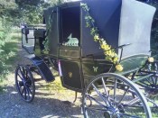 ��������� �� ������: ������ ������, ��� �� ����������, ���� � ������