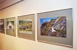 ����������� ��������� �� ��������������� ���������