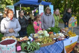 ��� ��������������� ����: ������, ������� � ������� �����