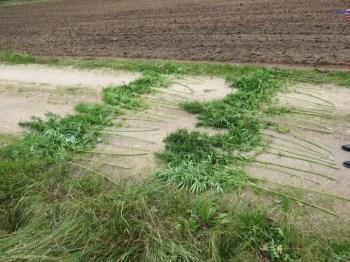 ������� ������� �� ����� ����� ������ ���������