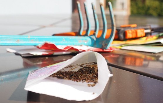 ����� �������� ������� �� ����� ������� ������