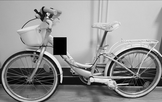 ������������� ������ ����������