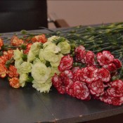 ���� ������� � ���� �� ������� � ������ �� ����