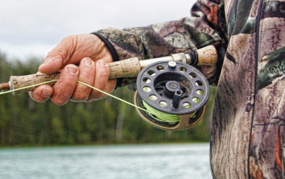 �������� ������������ � ����� ������ ���������� ���� �� ����� ������