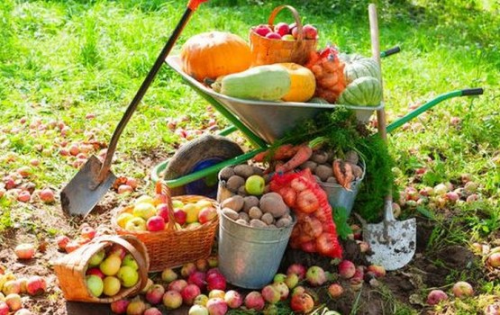 ��� �������� � ���� � ������� � �������?