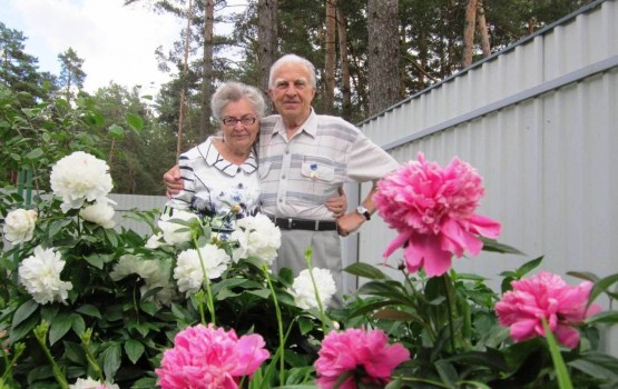 ���������� ����� ���������