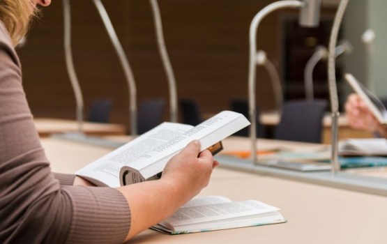 "����������" ��������: ��� � ������ ��������� ������ ����������� "���������"