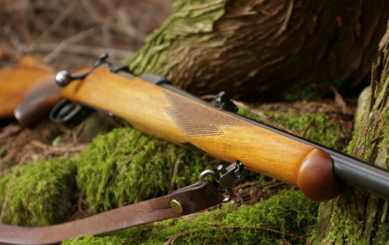 ������� ����������� � �������� ������