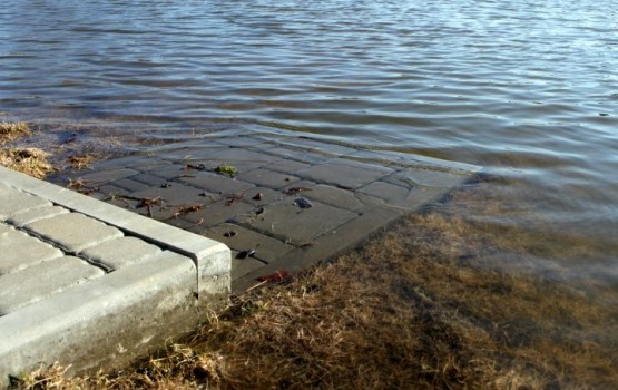 � ���������� ����� ���� ��������� ������ ��� �� ����