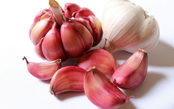 ������ ������� ��� ���������: ����������� �������� � �������� �������