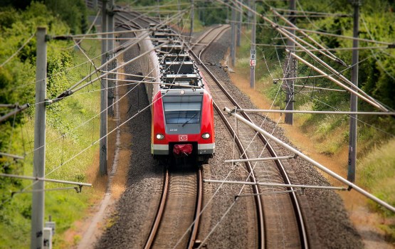 LDz ��������� ������ �������������� ��� ����������