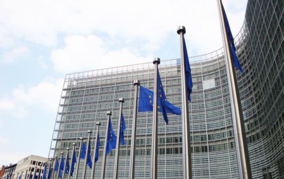 ������������ ������ � ��� �� �����, ������� � ������