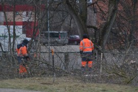 ��������: ��������� ���������� � ���������� ������ �����������