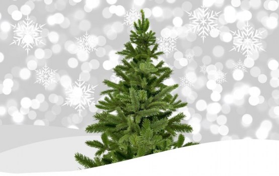 ������� "���������" ���������� ���� � ������ � ���� ��� ���������