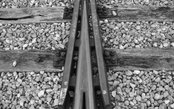 � 2019 ���� ����� ����������� ���� �� ������� �������� � ������