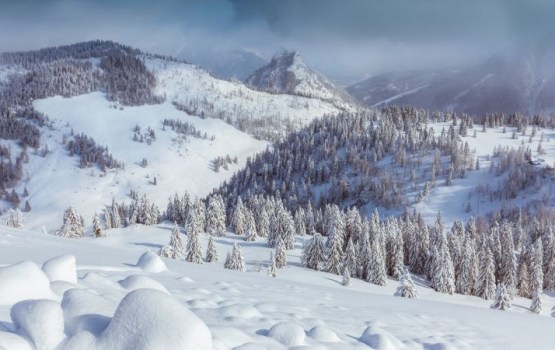 ����� ������� ��������� � ������ ���� � 2010 � 2012 ����