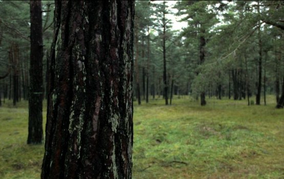 ����� �� ���������� ��������� ������� �������� � ����� ����������������