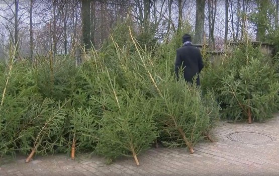 ����������� ���� ������� ����� ����������