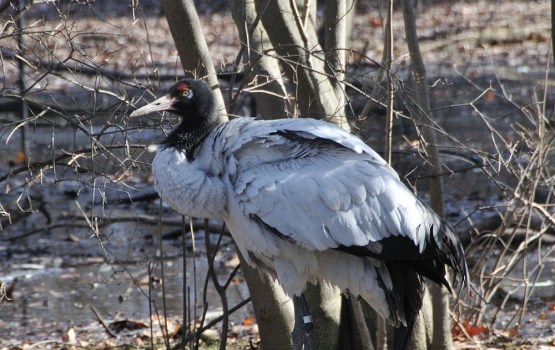 � ������ ������ � ������ ������ �����, ������ ������� � ������ �������