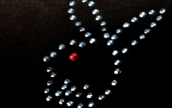 ��������� ������ ������� Playboy � �������������