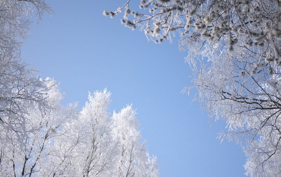 �������� ����� ��������� ����� �� -10 ��������